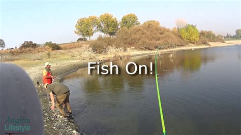 Top 10 Best Fishing Near Fremont, California 